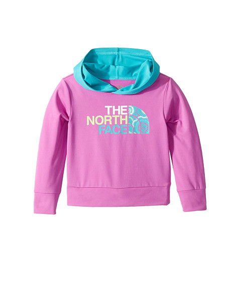 The North Face Kids Long Sleeve Hike/Water Tee (Toddler) 