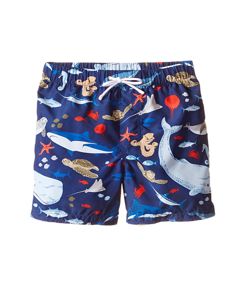 Dolce & Gabbana Kids Sealife Swimsuit (Toddler/Little Kids) 