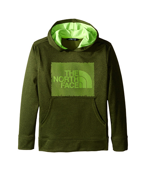 The North Face Kids Surgent Pullover Hoodie (Little Kids/Big Kids) 