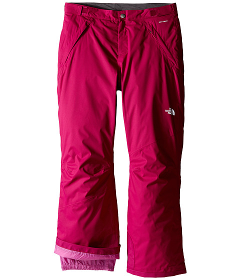 The North Face Kids Freedom Insulated Pants (Little Kids/Big Kids) 