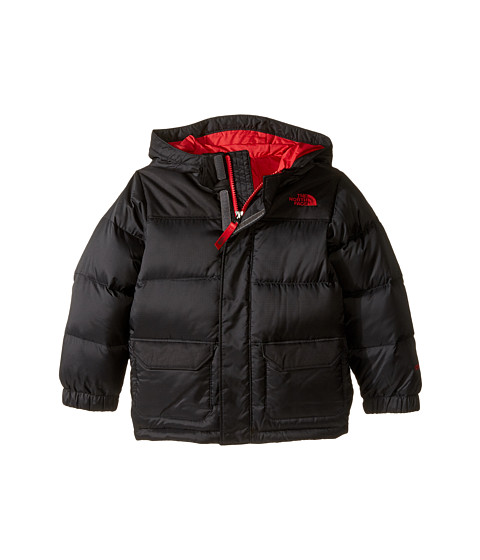 The North Face Kids Harlan Down Parka (Toddler) 