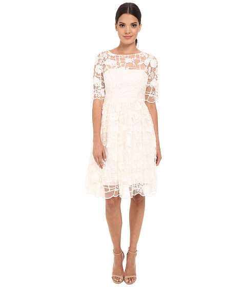Adrianna Papell Embroidered Grid Party Dress 