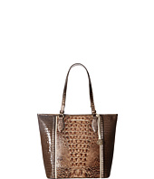 Brahmin - Asher